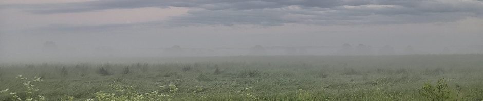 СНТ "Запорожское"